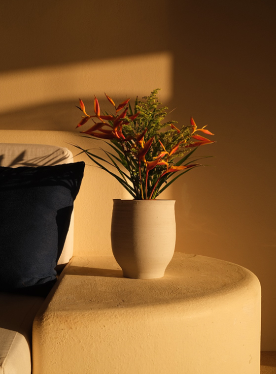 CasaConstantia-imagen-5